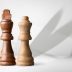 王小棋编辑头像，专注棋牌策略类游戏内容，沉稳睿智形象